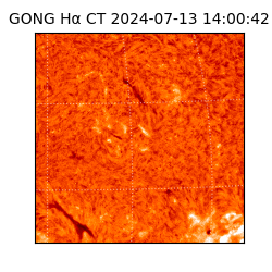 gong - 2024-07-13T14:00:42