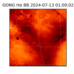 gong - 2024-07-13T01:00:02