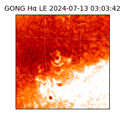 gong - 2024-07-13T03:03:42