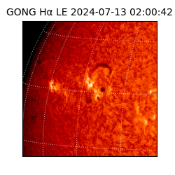 gong - 2024-07-13T02:00:42