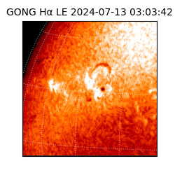 gong - 2024-07-13T03:03:42
