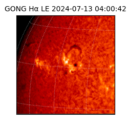 gong - 2024-07-13T04:00:42