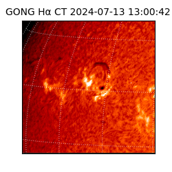 gong - 2024-07-13T13:00:42