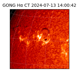 gong - 2024-07-13T14:00:42