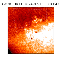 gong - 2024-07-13T03:03:42
