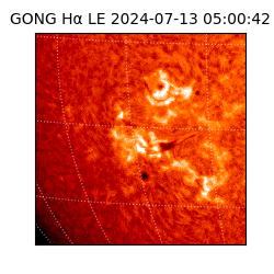 gong - 2024-07-13T05:00:42