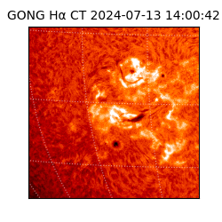 gong - 2024-07-13T14:00:42