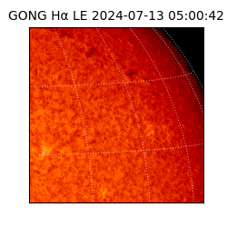 gong - 2024-07-13T05:00:42