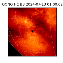 gong - 2024-07-13T01:00:02