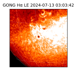 gong - 2024-07-13T03:03:42