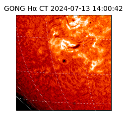 gong - 2024-07-13T14:00:42