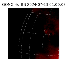 gong - 2024-07-13T01:00:02