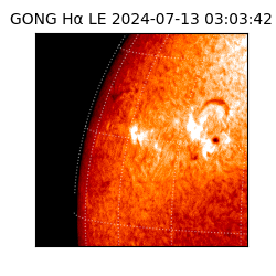 gong - 2024-07-13T03:03:42