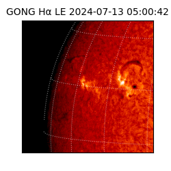 gong - 2024-07-13T05:00:42
