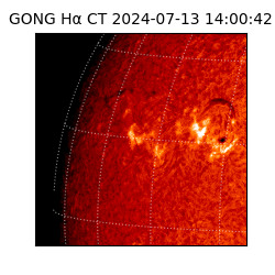 gong - 2024-07-13T14:00:42