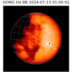 gong - 2024-07-13T01:00:02