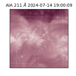 saia - 2024-07-14T19:00:09.632000