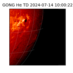 gong - 2024-07-14T10:00:22