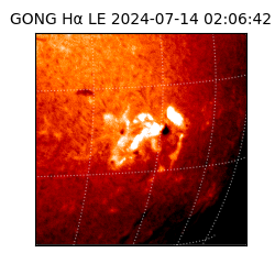 gong - 2024-07-14T02:06:42