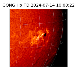 gong - 2024-07-14T10:00:22