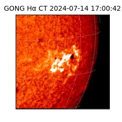 gong - 2024-07-14T17:00:42