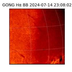gong - 2024-07-14T23:08:02