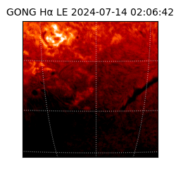 gong - 2024-07-14T02:06:42