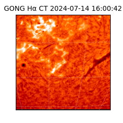 gong - 2024-07-14T16:00:42