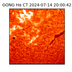 gong - 2024-07-14T20:00:42