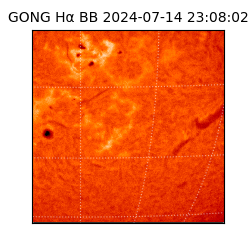 gong - 2024-07-14T23:08:02