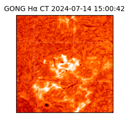 gong - 2024-07-14T15:00:42