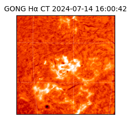 gong - 2024-07-14T16:00:42