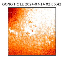 gong - 2024-07-14T02:06:42