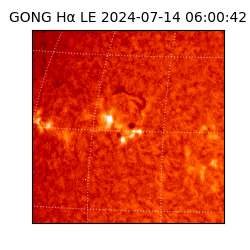 gong - 2024-07-14T06:00:42