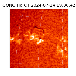 gong - 2024-07-14T19:00:42