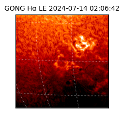 gong - 2024-07-14T02:06:42