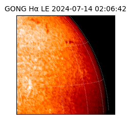 gong - 2024-07-14T02:06:42