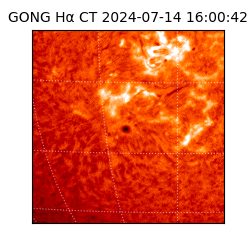 gong - 2024-07-14T16:00:42