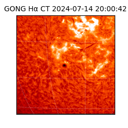 gong - 2024-07-14T20:00:42