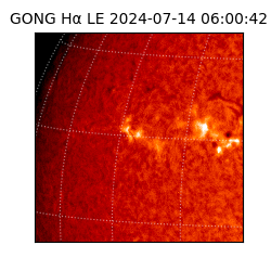 gong - 2024-07-14T06:00:42