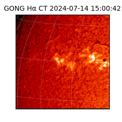 gong - 2024-07-14T15:00:42