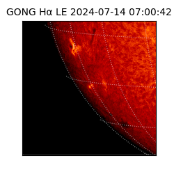 gong - 2024-07-14T07:00:42
