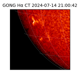 gong - 2024-07-14T21:00:42