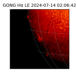 gong - 2024-07-14T02:06:42