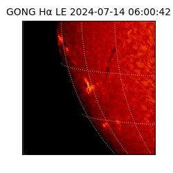 gong - 2024-07-14T06:00:42