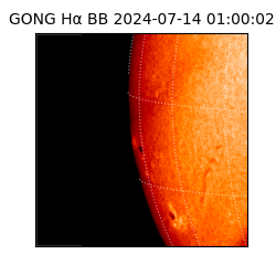 gong - 2024-07-14T01:00:02