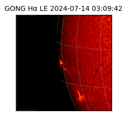 gong - 2024-07-14T03:09:42