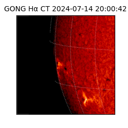 gong - 2024-07-14T20:00:42