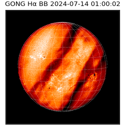 gong - 2024-07-14T01:00:02