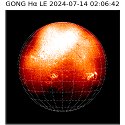 gong - 2024-07-14T02:06:42